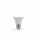 Ampoule LED Globe G45 4000K